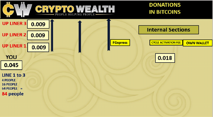 Crypto-Wealth-Donation-Plan-Structure