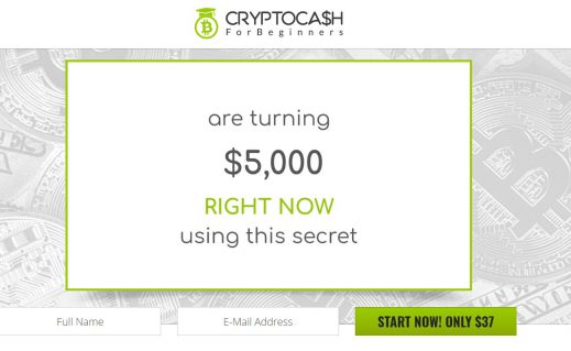 Crypto Cash For Beginners