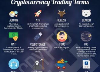 Crypto Infographic