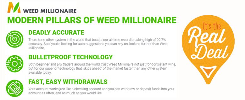 Weed Millionaire Crypto